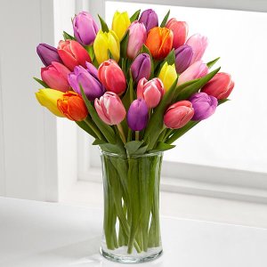Rush of Color Assorted Tulip Bouquet (image for) Rush of Color Assorted Tulip Bouquet