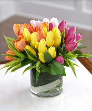 A Mixed Tulip Rainbow Bouquet - 40 Tulips (image for) A Mixed Tulip Rainbow Bouquet - 40 Tulips