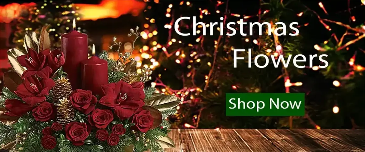 Christmas (image for) Christmas