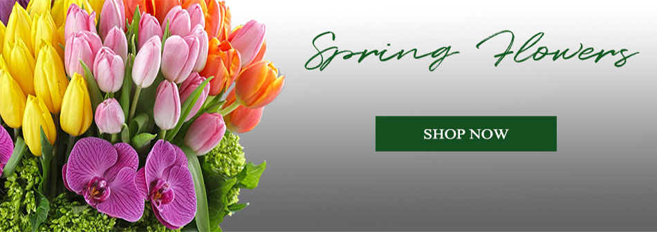 Spring (image for) Spring